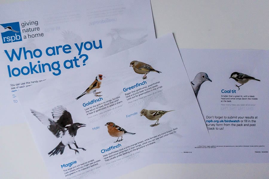 Big Garden Birdwatch survey