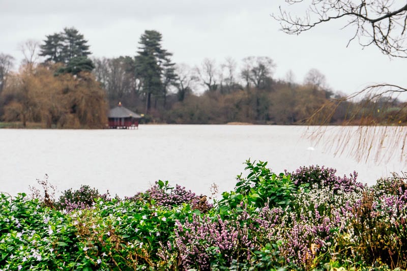 Hever Castle lake and pagoda