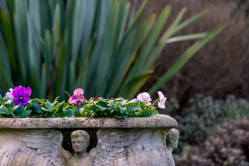 Hever Italian Garden roman pot with flowers