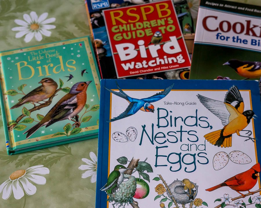 Kids bird watching Bird books for kids