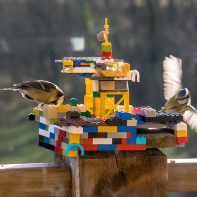 Kids bird watching Lego bird feeder