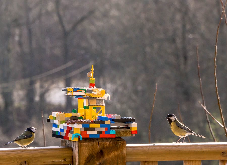 Kids bird watching Lego bird feeder and bird