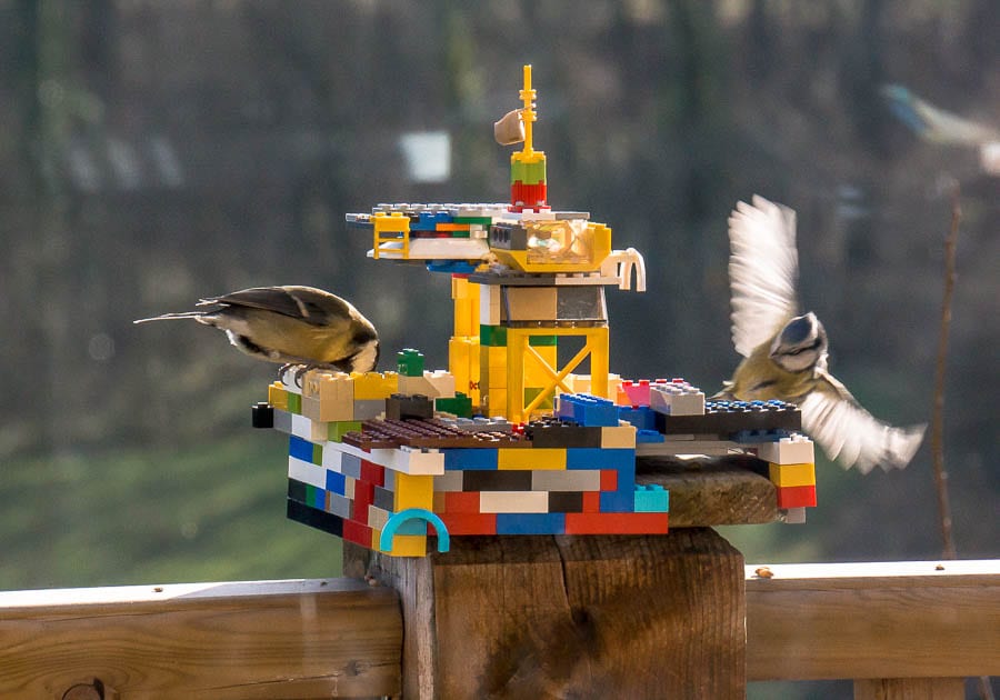 Kids bird watching Lego bird feeder