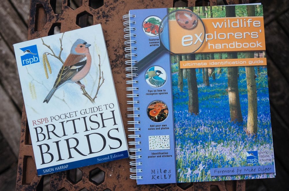 Kids bird watching RSPB bird guide book