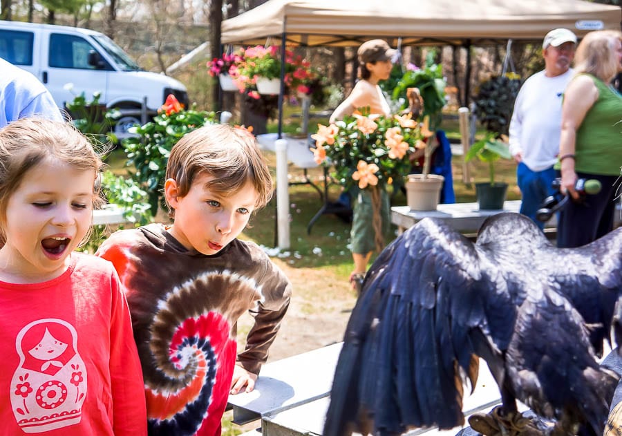 Kids bird watching crow