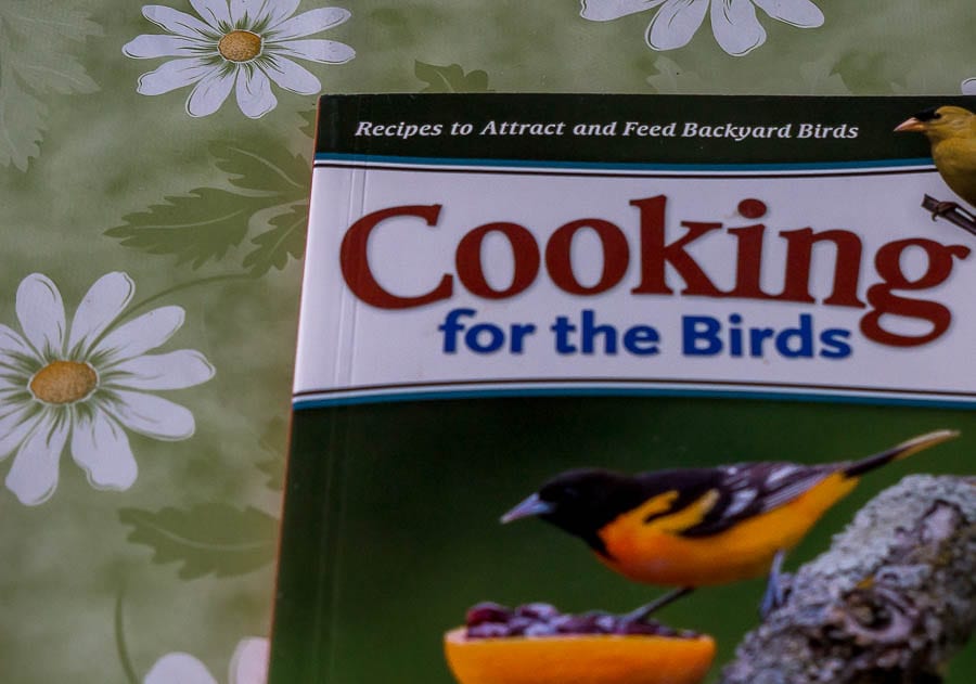 Kids bird watching Cooking for the Birds