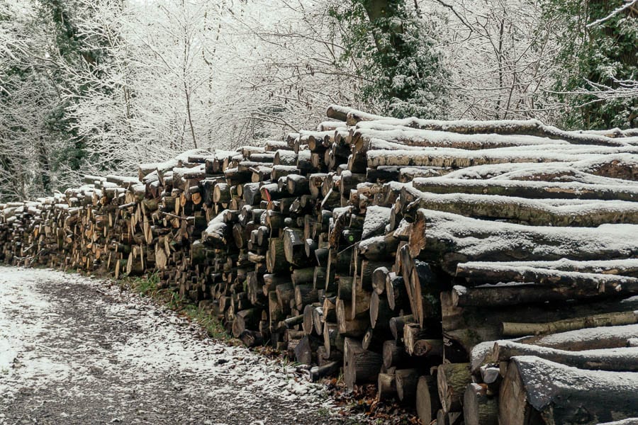 Log pile with snow in woods