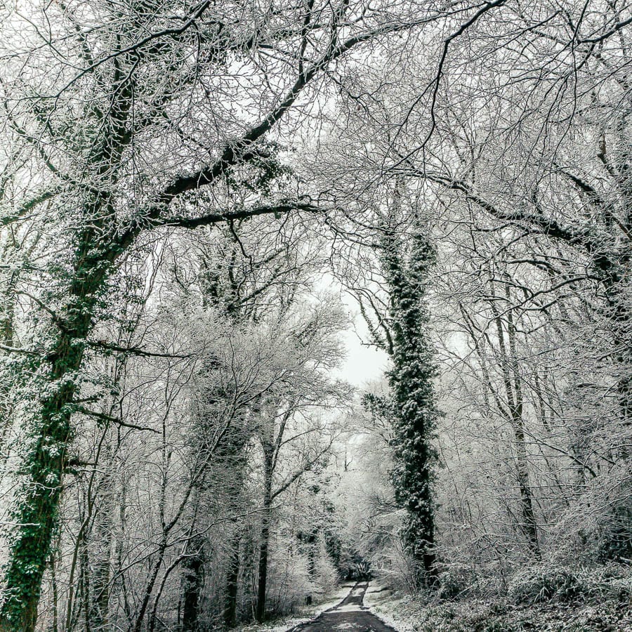 Snow Woods lane to home