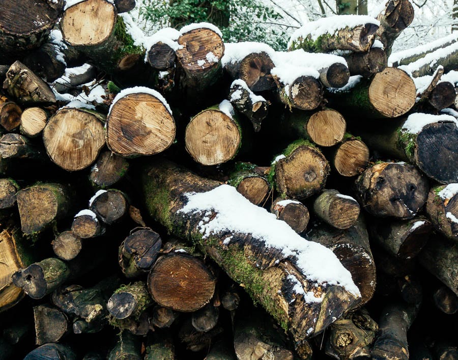 Snow Woods log pile