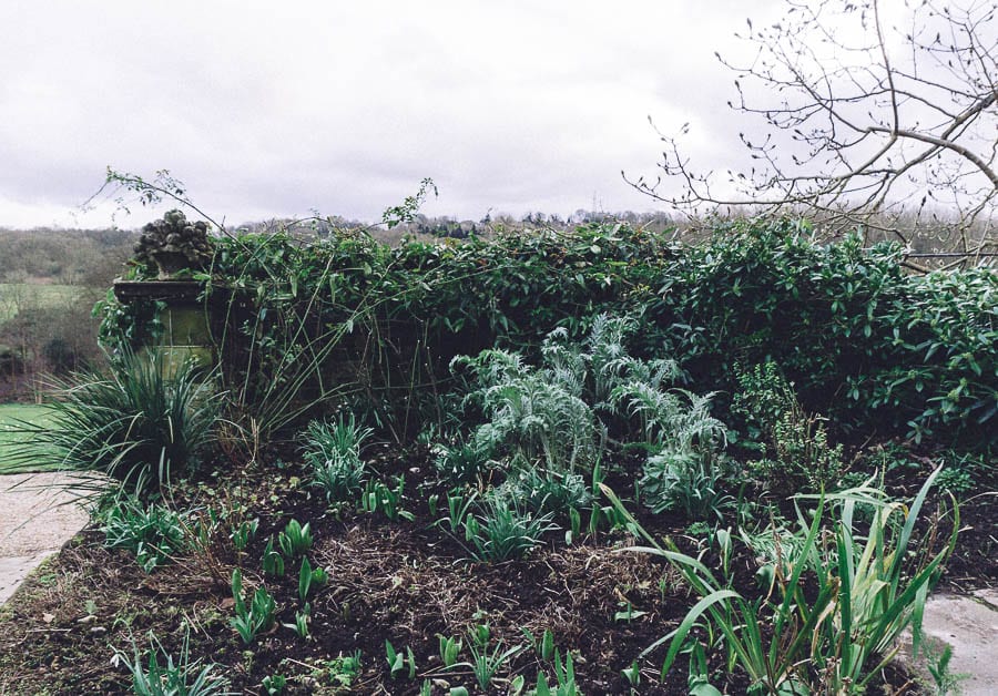 Gravetye February courtyard garden