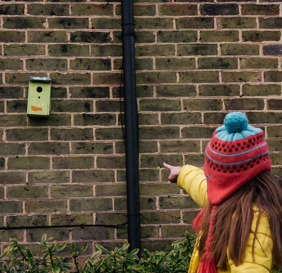 Is it bad for kids to paint bird nest boxes