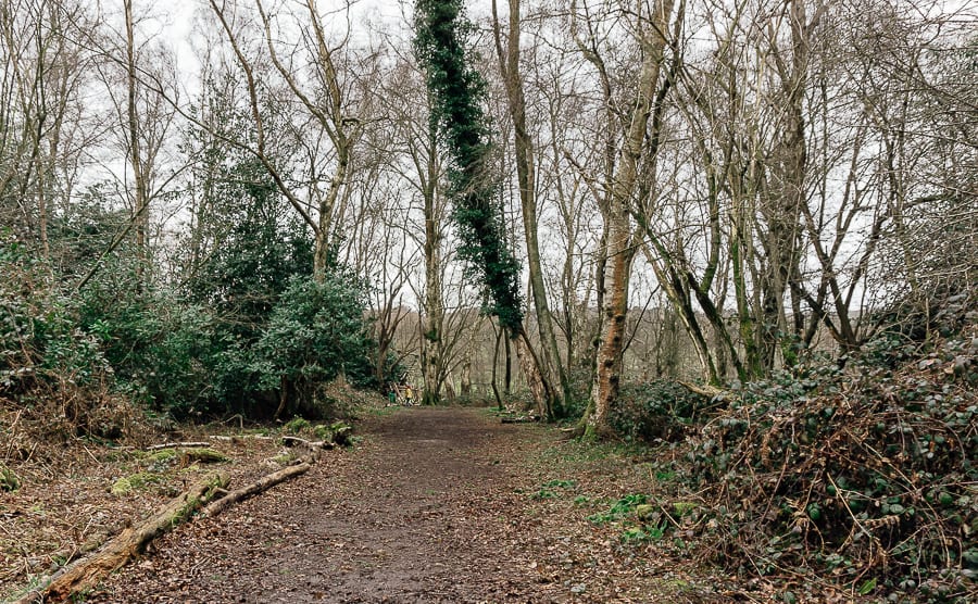 Natural playground Sheffield Park Nature Trail