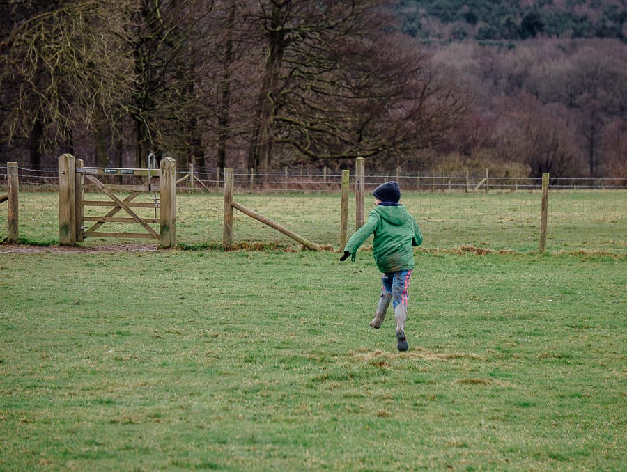 Natural playground Sheffield Park natural play trail