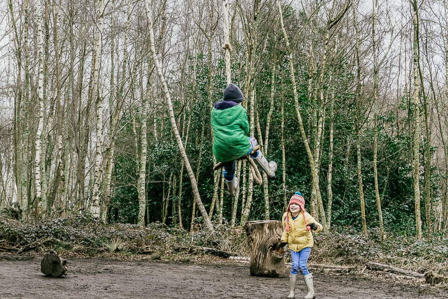 Natural playground Sheffield Park tree swing