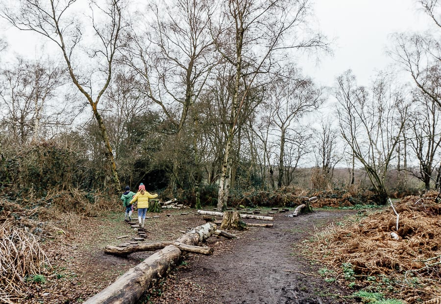 Natural playground balancing on tree stumps