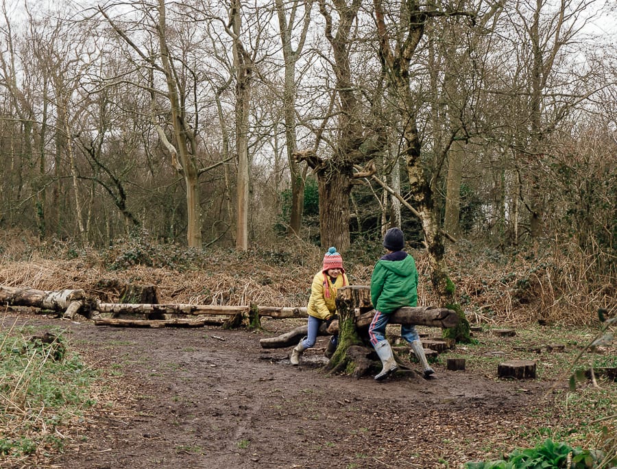 Natural playground tree seesaw