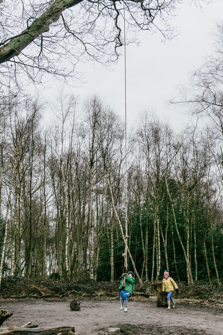 Natural playground tree swing