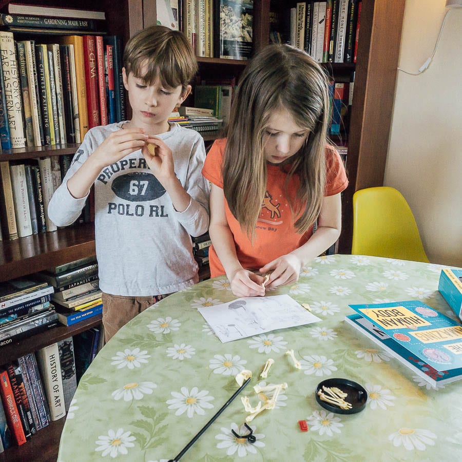 The Amazing Human Body kids building skeleton together