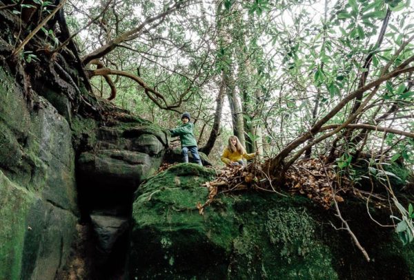 Wakehurst Rock Walk sandstone cliffs and kids