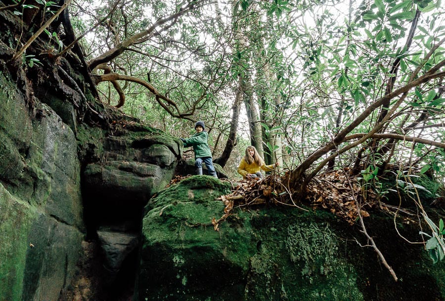 Wakehurst Rock Walk sandstone cliffs and kids