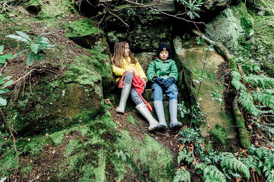 Wakehurst Rock Walk sandstone ledge with twins