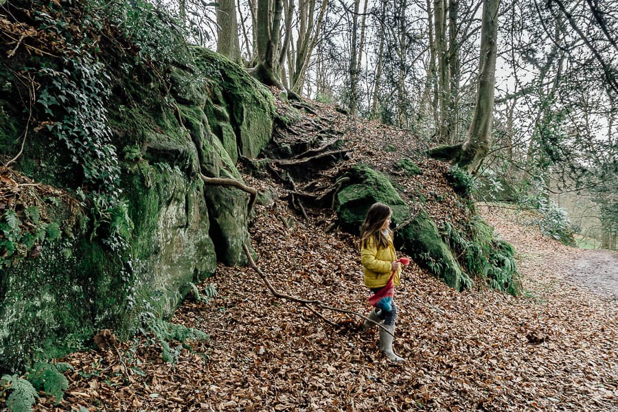 Wakehurst Rock Walk sandstone outcrops and Luce