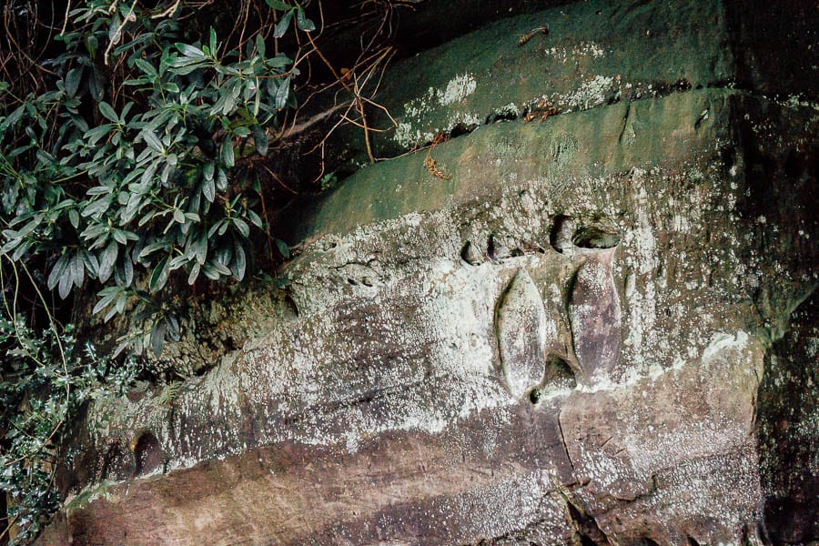 Wakehurst Rock Walk weathered sandstone