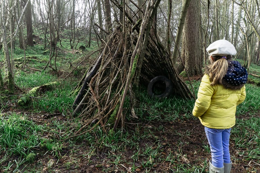 Big Bluebell Watch bluebell shoots in den