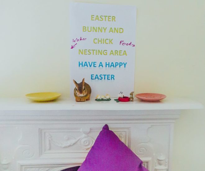Easter bunny nesting area