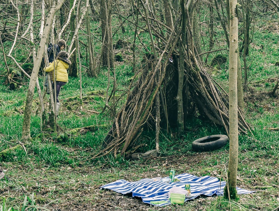 Picnic in the woods and kids