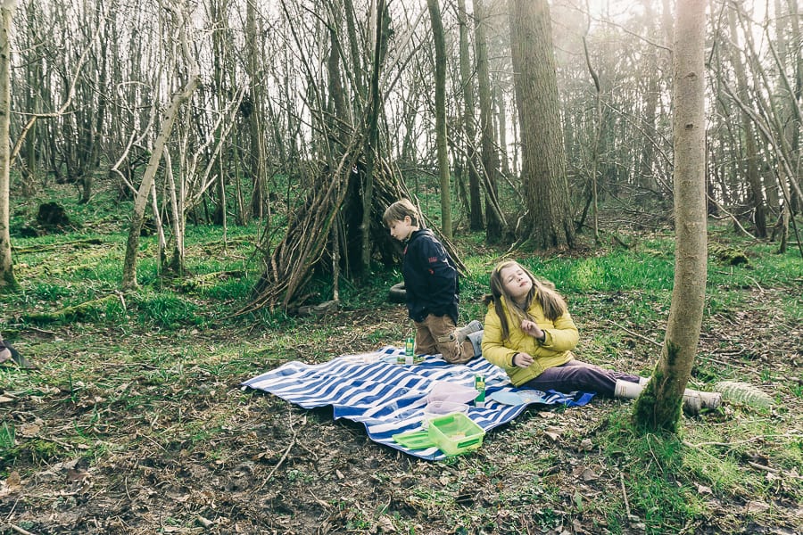 Picnic in the woods with kids
