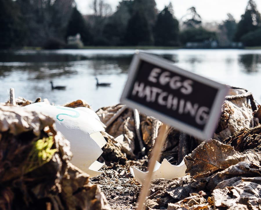 Sheffield Park Easter Egg Hunt hatched eggs and lake