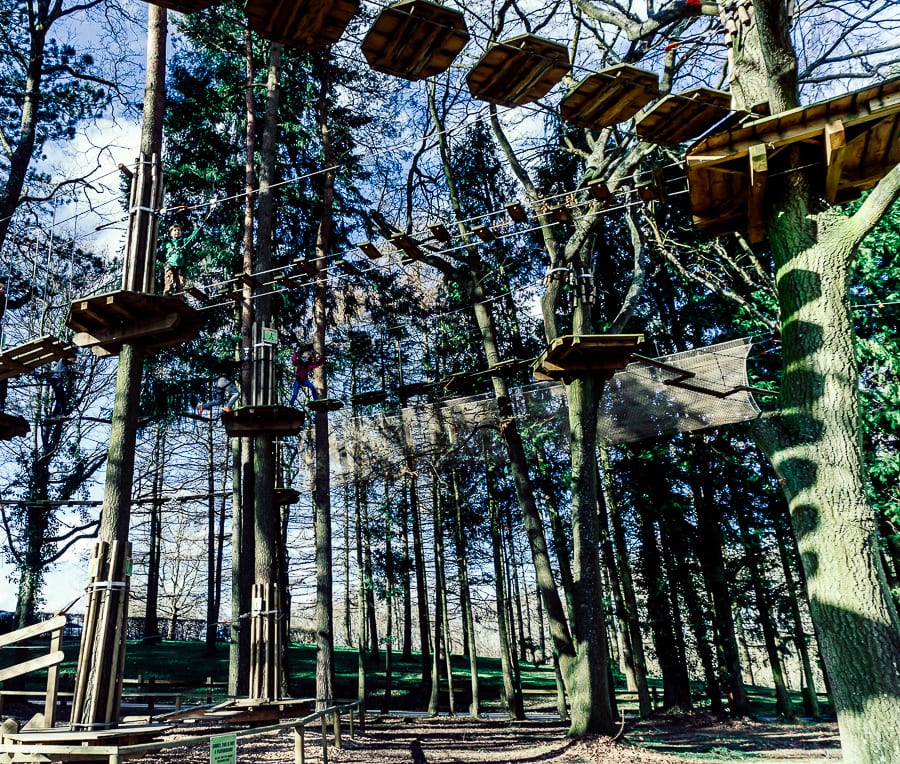 Treetop adventure Go Ape for Juniors