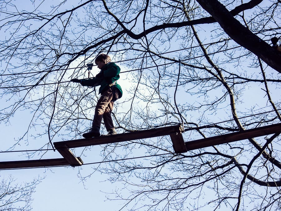Treetop adventure child crossing bridge