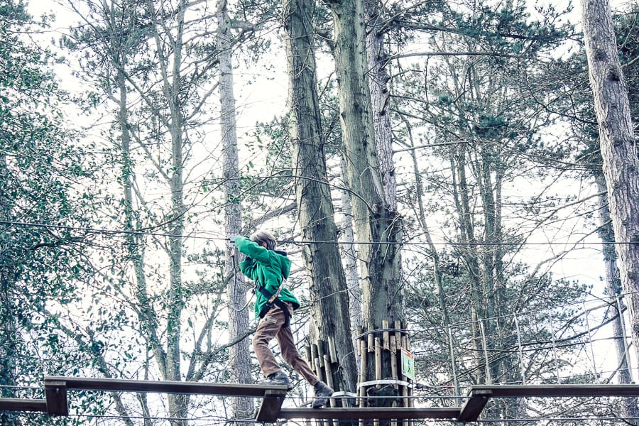 Treetop adventure crossing and trees