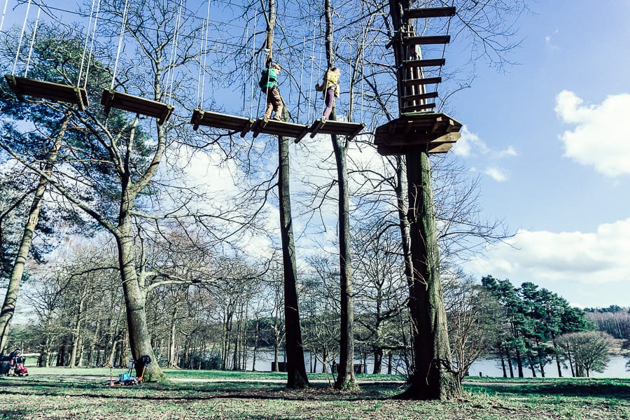 Treetop adventure for kids in town park