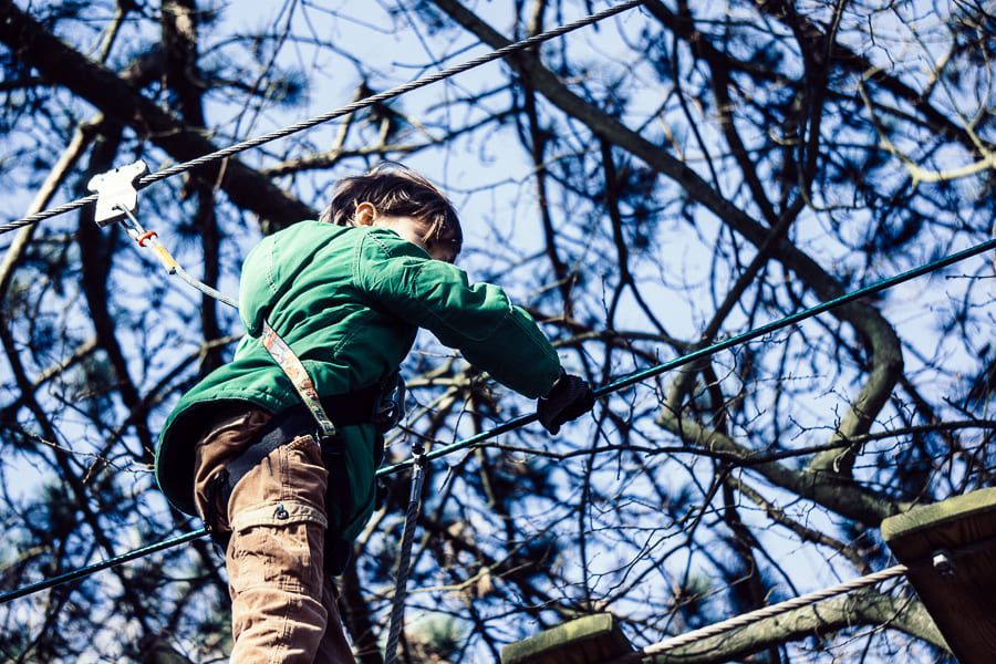 Treetop adventure harness attached to wire