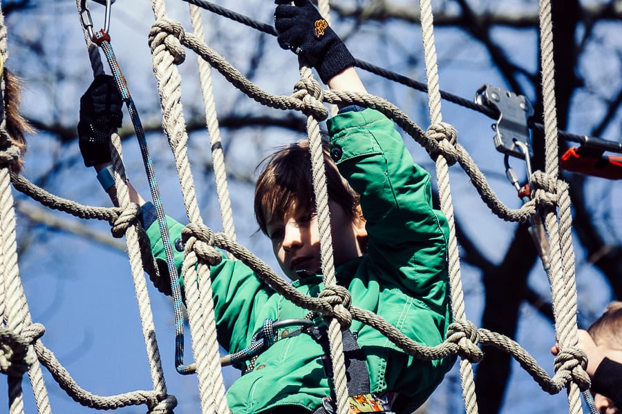 Treetop adventure in net crossing