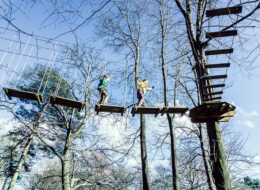 Treetop adventure kids on plank bridges