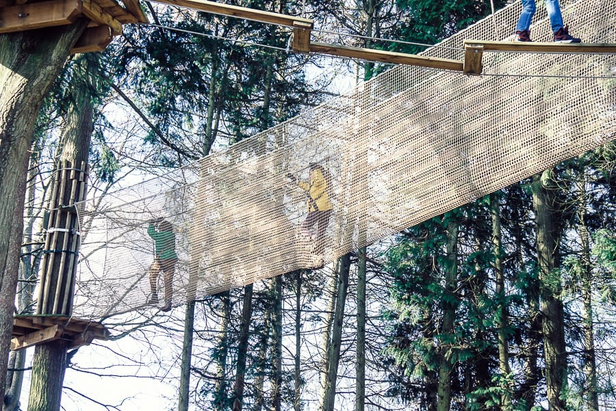 Treetop adventure net crossing