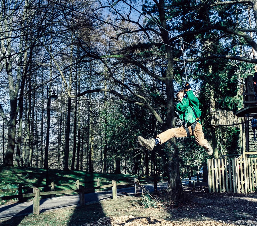 Treetop adventure on zipwire