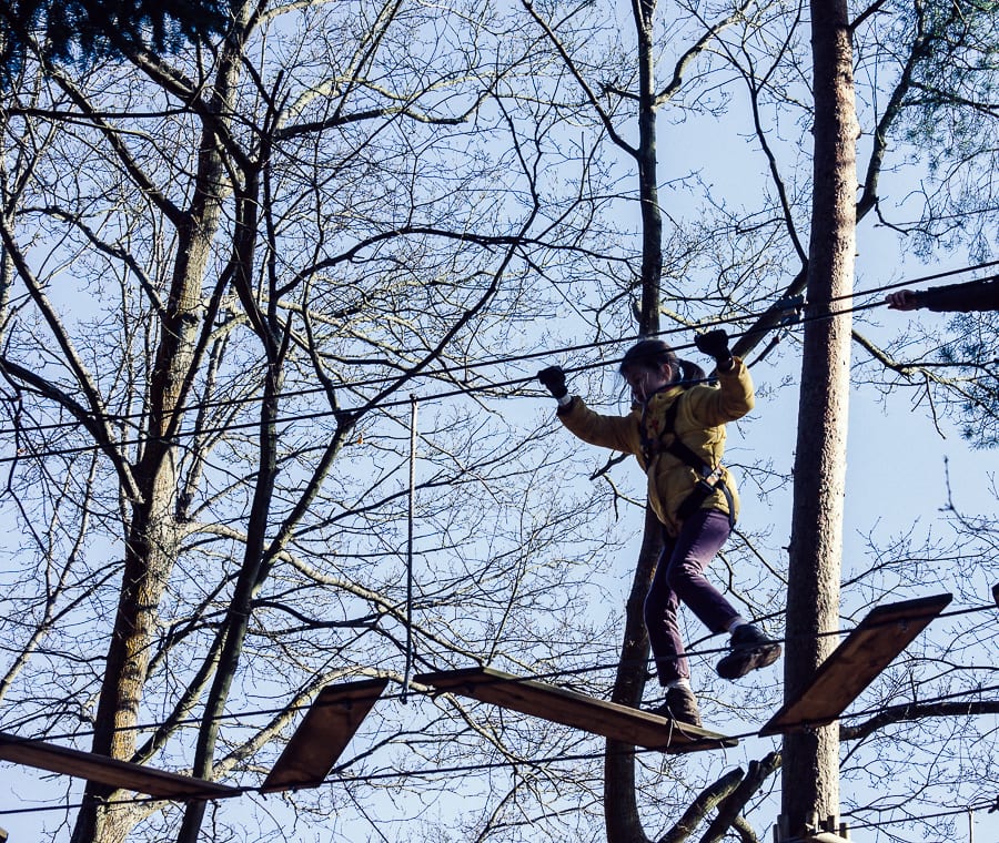 Treetop adventure planks on ropes