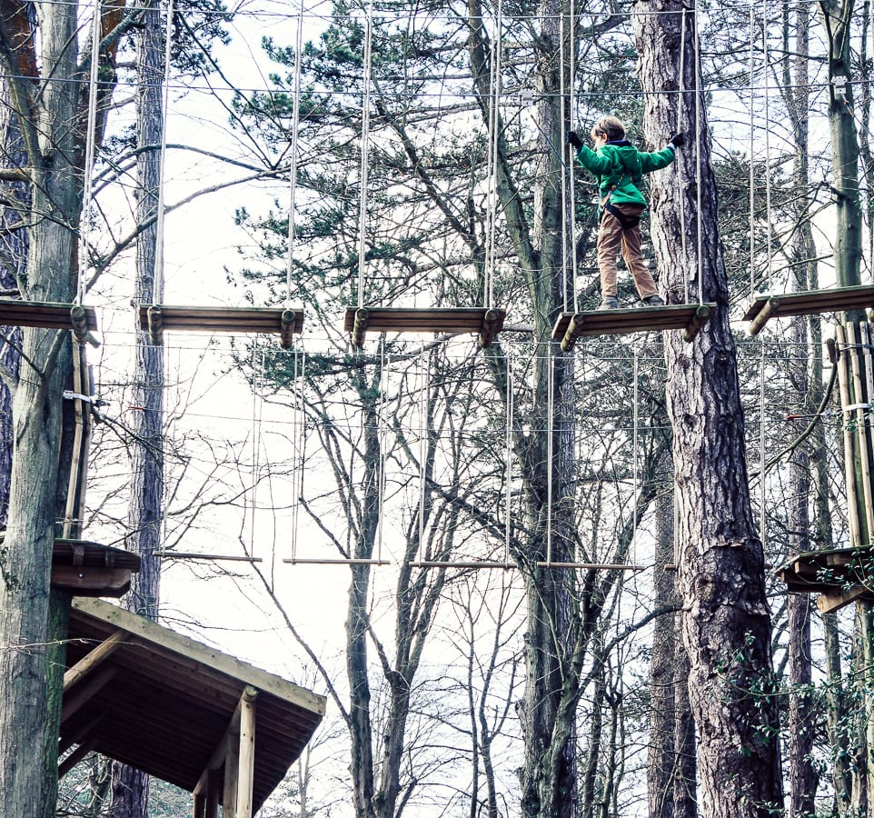 A Treetop Adventure With Kids Wild About Here