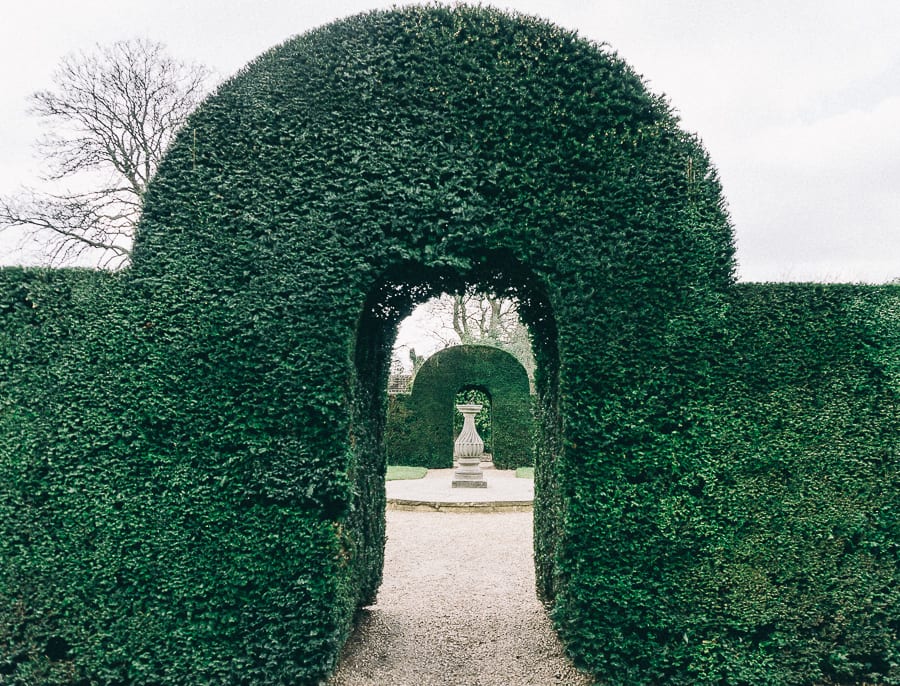 Wakehurst hedge arch and statue