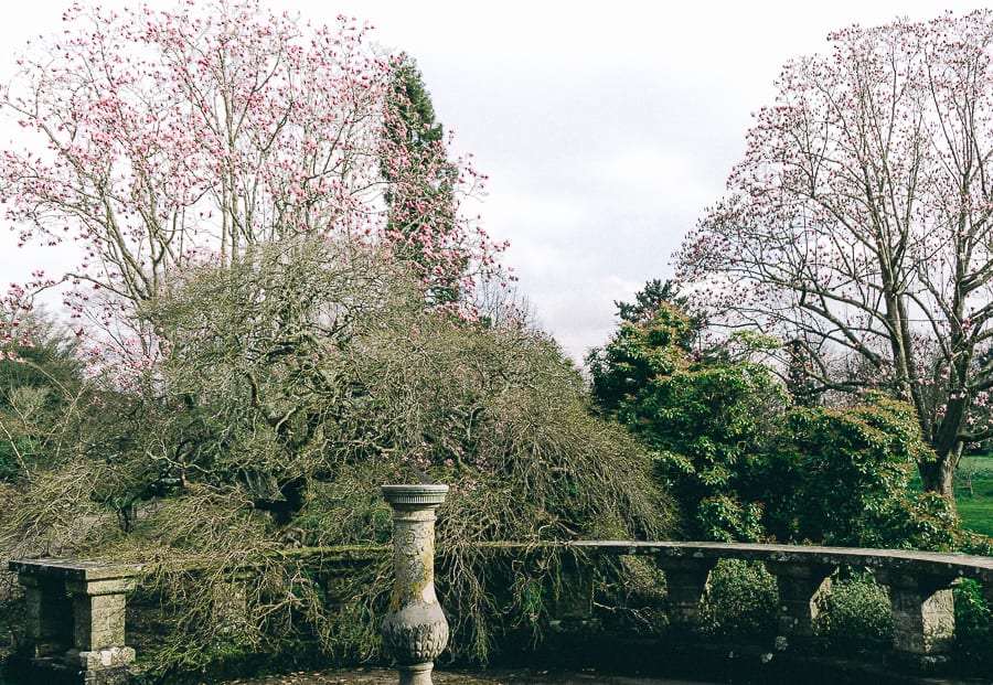 Wakehurst sundial and Magnolia trees