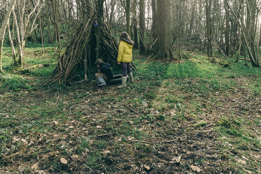 Woods Picnic clearing outside den