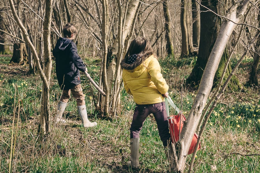 Woods Picnic kids and picnic bag