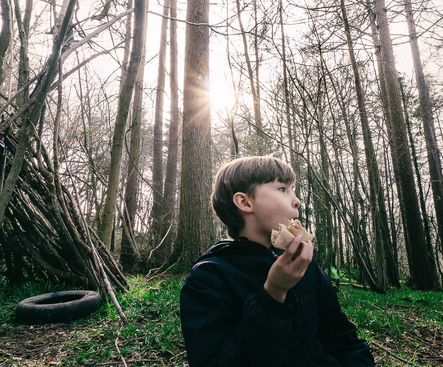 Woods picnic sandwich