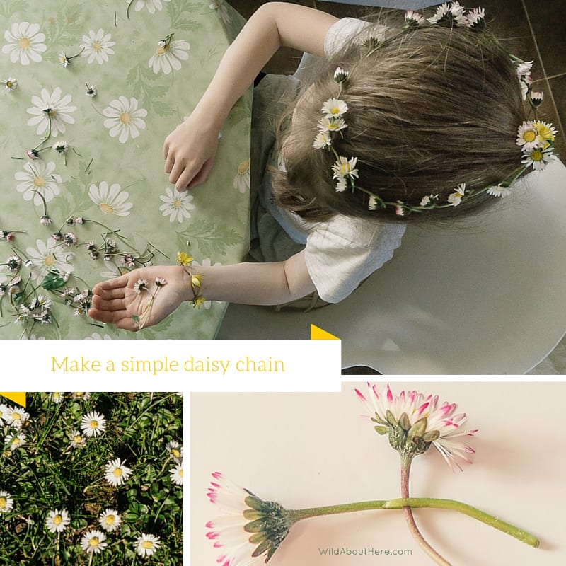 How to make a daisy chain