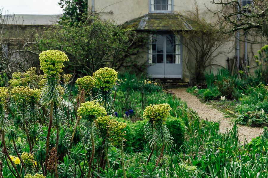 Charleston walled garden flowers and door